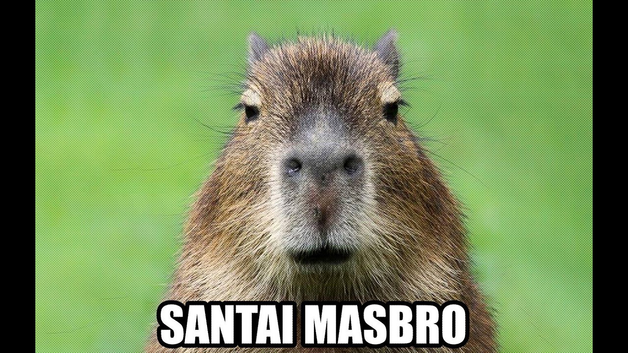 did it work? lesgooow #dsg #imeroleplay #mediashareon #dobrakgang