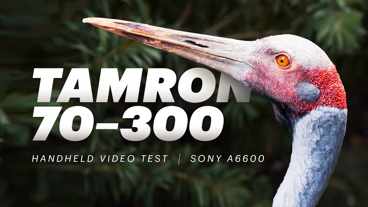 Tamron 70-300mm + Sony a6600 | Handheld video test