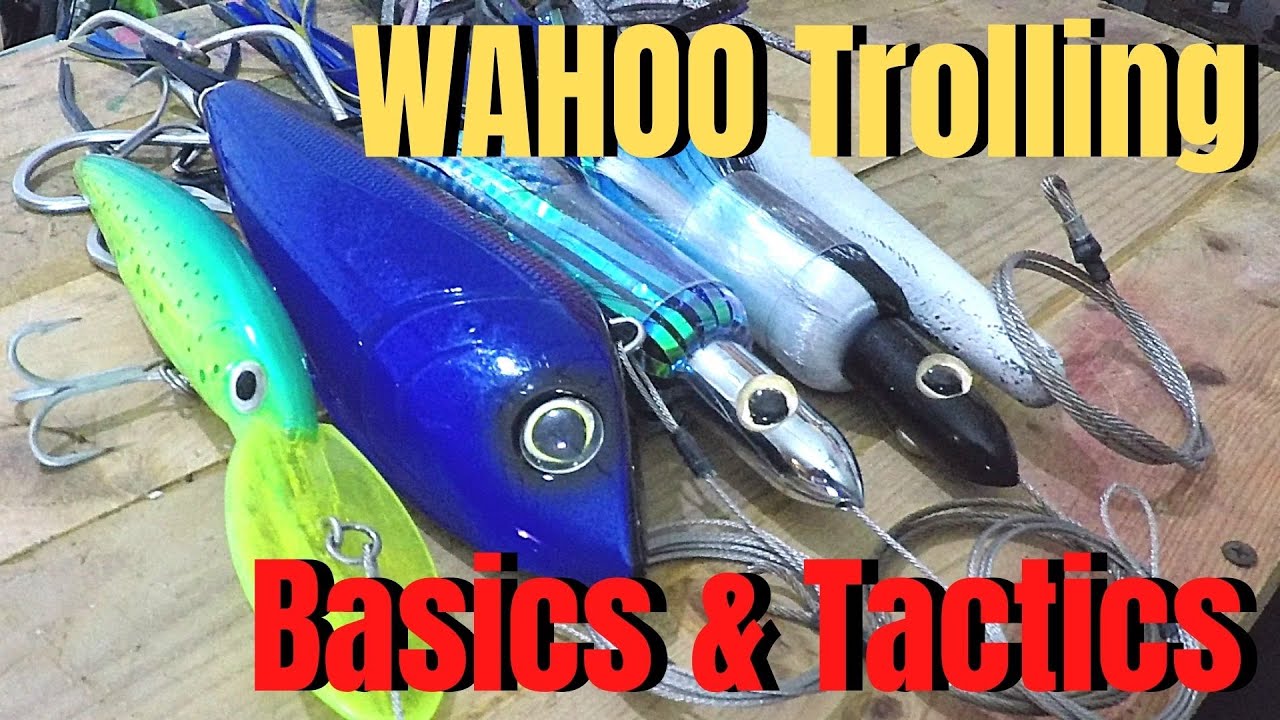 How to catch WAHOO high speed trolling Basics & tactics