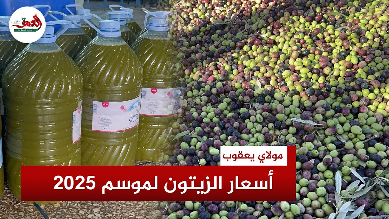من 5 إلى 7 دراهم..سعر الزيتون يعرف انخفاضا بالأسواق وتجار