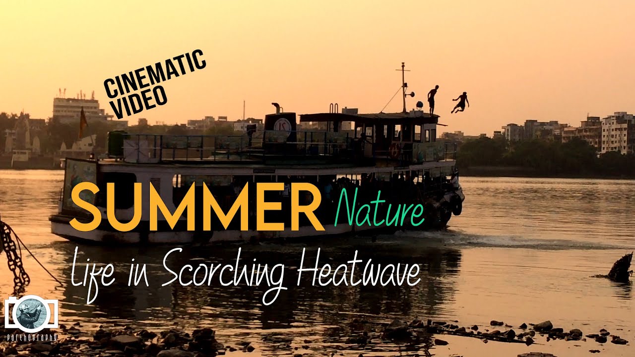 SUMMER NATURE AND LIFE ! | Menacing Summer Heatwave 2024 #summer  #summervibes #summerdrink #kolkata