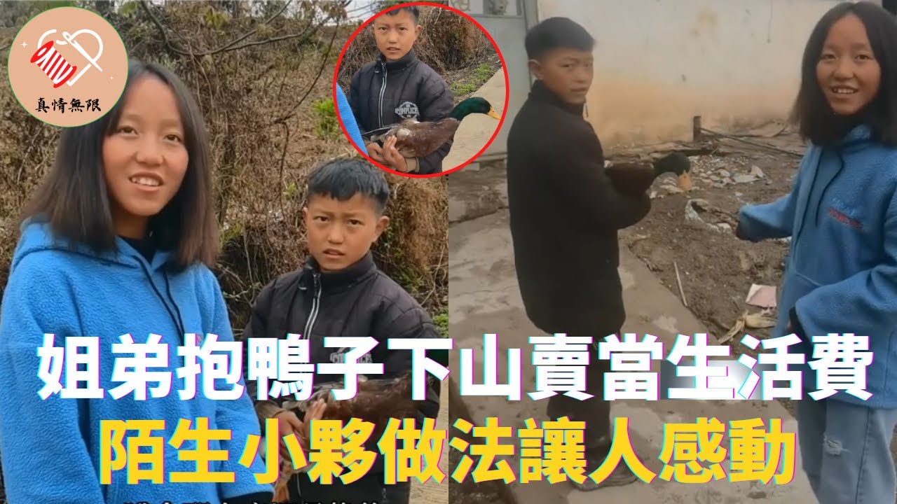 姐弟抱鴨子下山賣錢當生活費，陌生小夥做法讓人感動 #真情無限 #暖心 #暖心故事 #正能量 #淚目 #生活 #溫暖 #社會新聞 #老人 #感動