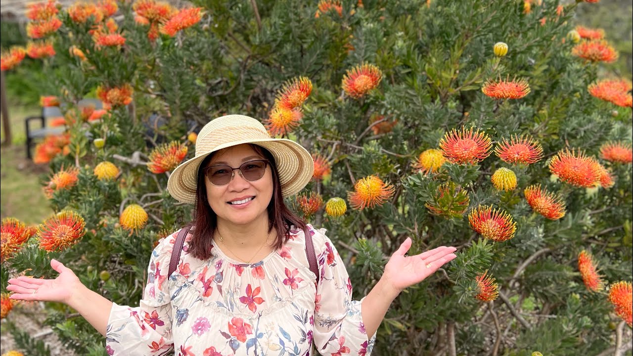 Ali’i Kula Garden and  Lavender  Farm Full Tour /  Maui Hawaii 🌺 🇺🇸