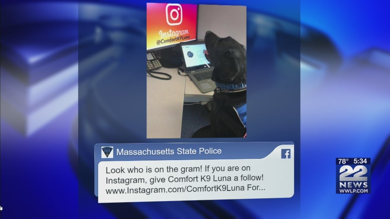 State Police comfort dog has very own Instagram