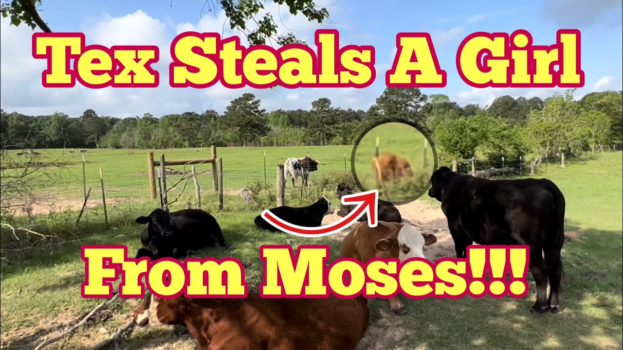 Tex Steals A Girl From Moses (and Moses Poops His Pants)
