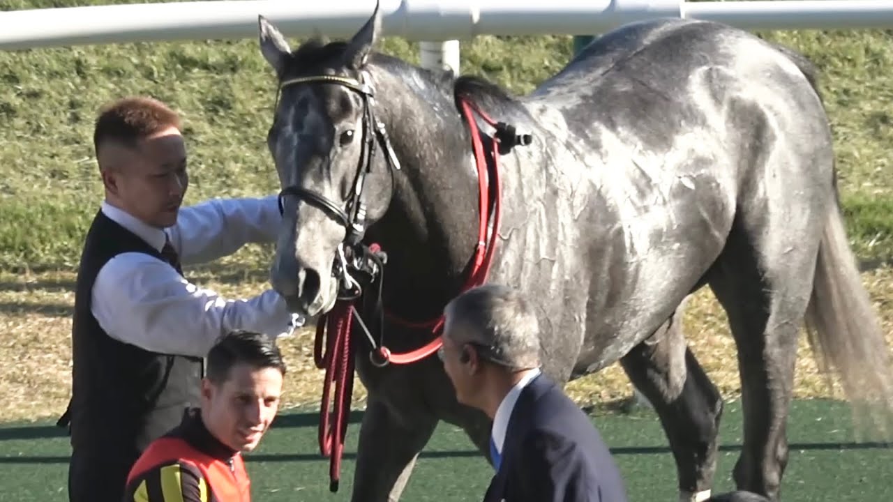 【現地】2025 黄菊賞 ノチェセラーダ C.デムーロ【京都競馬場】