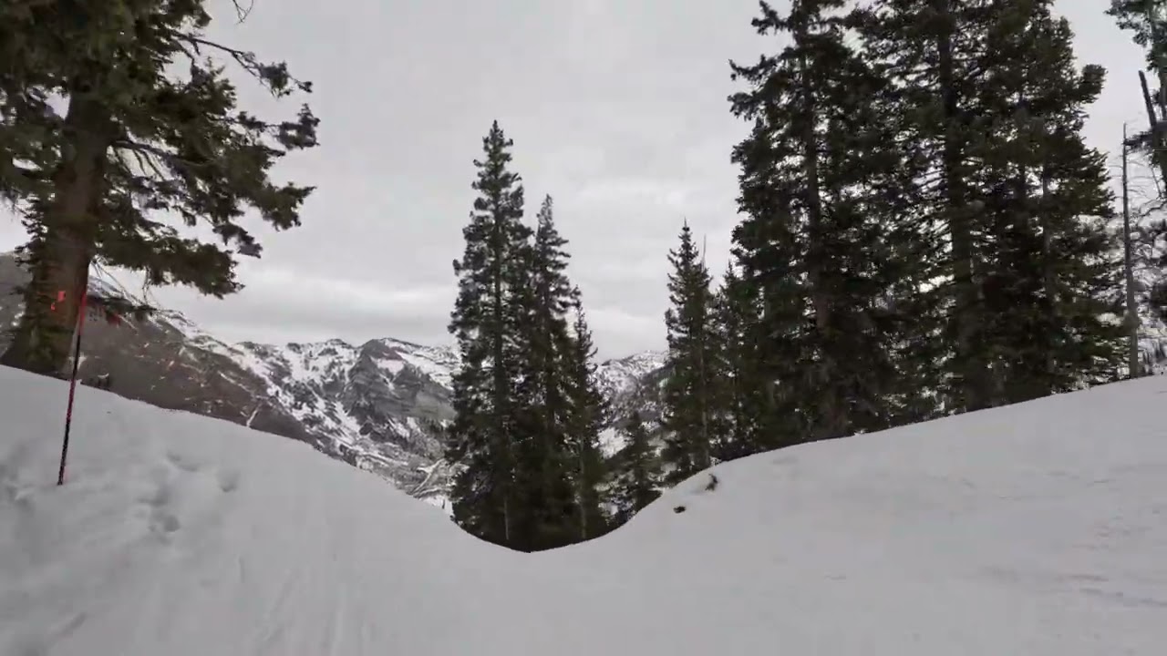 Snowbird Ski Resort: Bananas and Tiger Tail