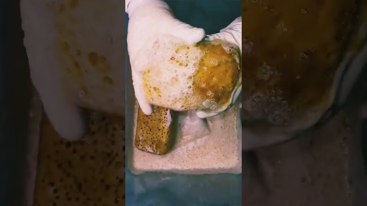 asmr pine bucket sponge squeeze 