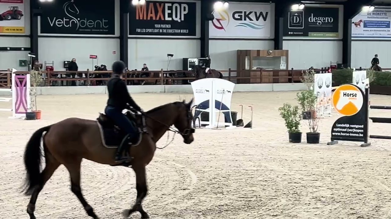 Training stal Vanderhasselt - 1-3-2026 - 120 cm - Melpomene lvp