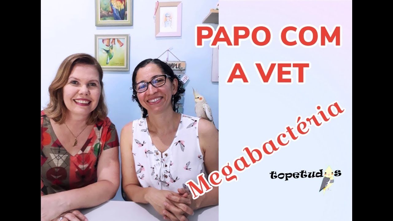 PAPO COM A VET - MEGABACTÉRIA