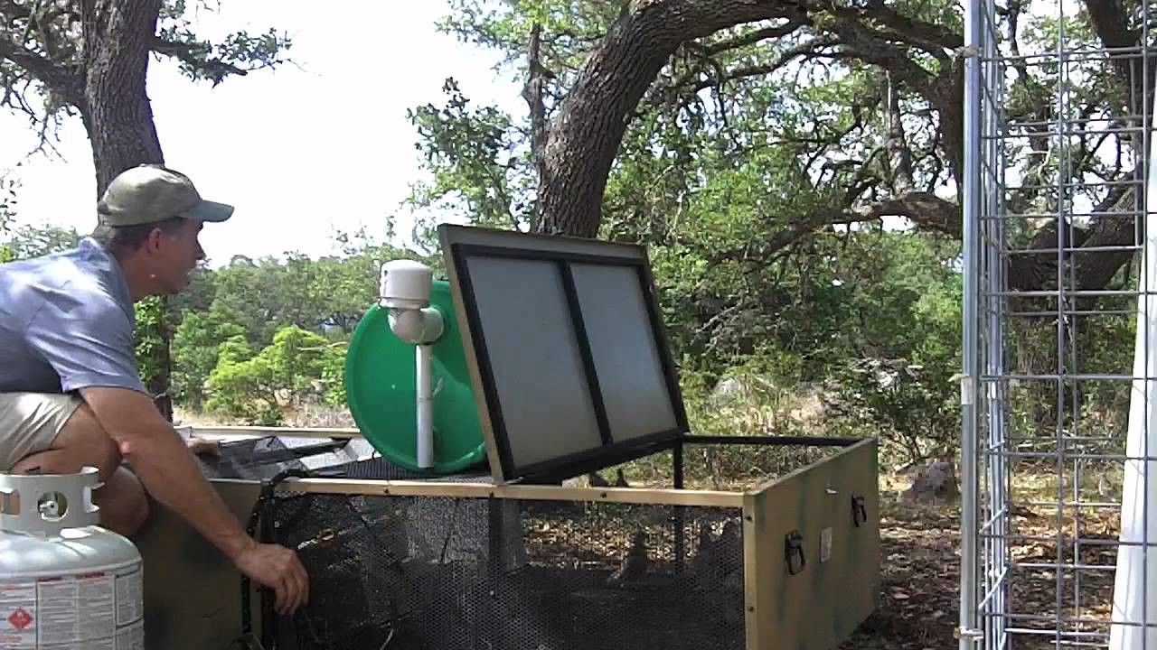 Wild Quail Release from Surrogator