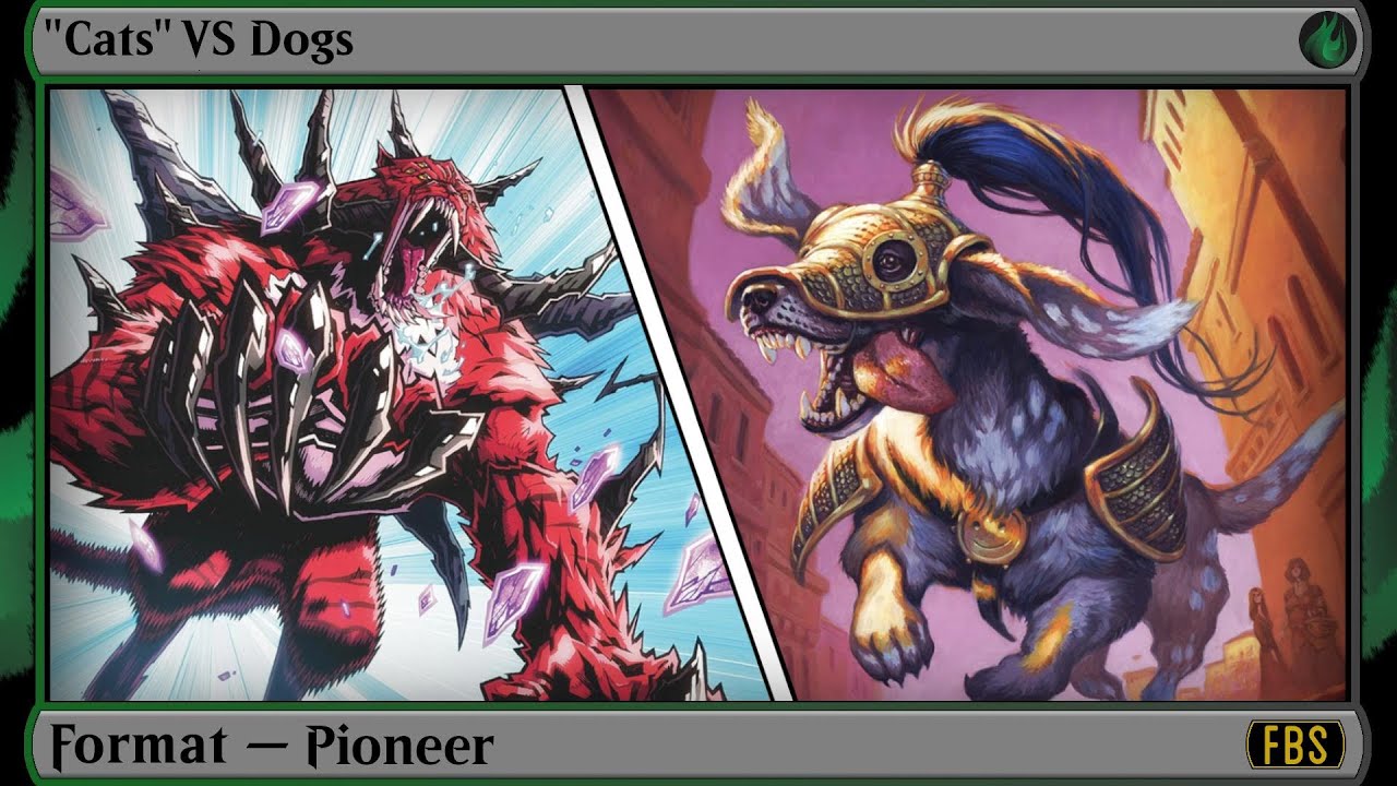MtG Pioneer Gameplay - Mutant Cats VS Dogs