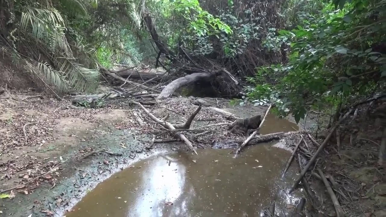 Drying up of River Tano