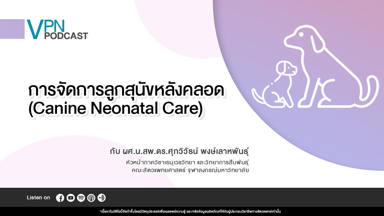 VPN Podcast EP.62 - การจัดการลูกสุนัขหลังคลอด