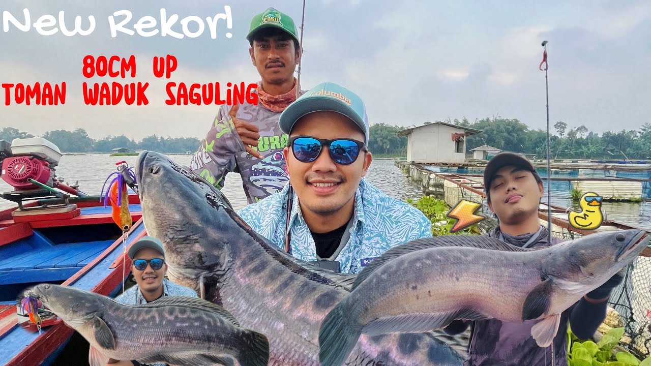 PECAH REKOR MONSTER TOMAN WADUK SAGULING ‼️