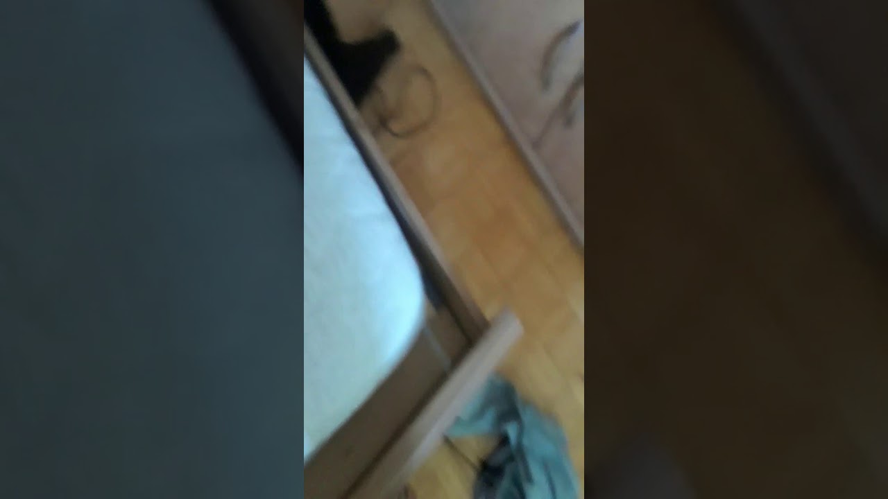 arm&eacute; non l&eacute;tale