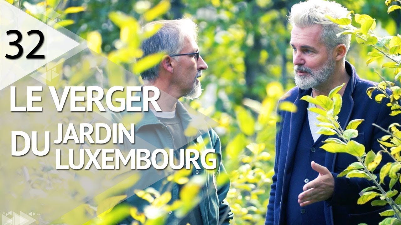 VISITE AU VERGER DU JARDIN DU LUXEMBOURG - EPISODE 32