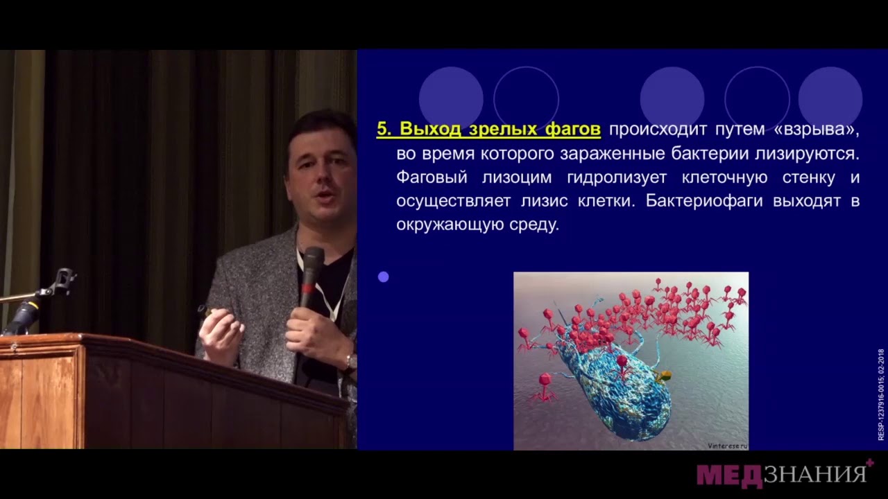 14. Анализ эффективности поливалентных бактериофагов при лечении острых гнойных синуситов