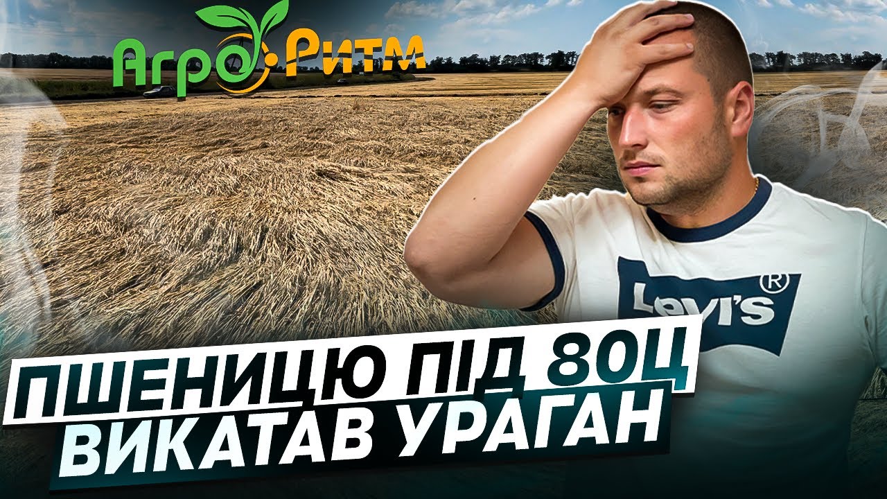 ❗ПШЕНИЦЮ ПІД 80Ц ВИКАТАВ УРАГАН!СПРАВИМОСЬ!ШЕСТОПАЛІВКА+JOHN DEERE МОЖУТЬ ВСЕ!