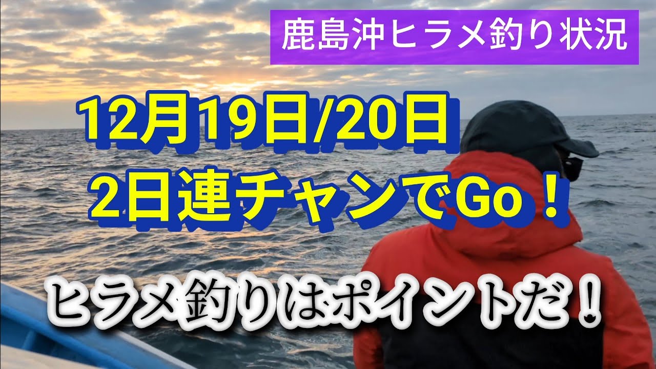 本日のヒラメ釣り状況　12月19日/20日連続でGo!  大春丸