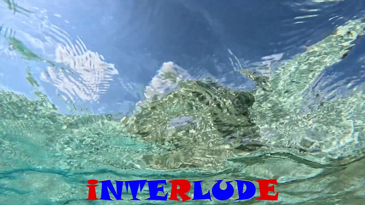 iNTERLUDE