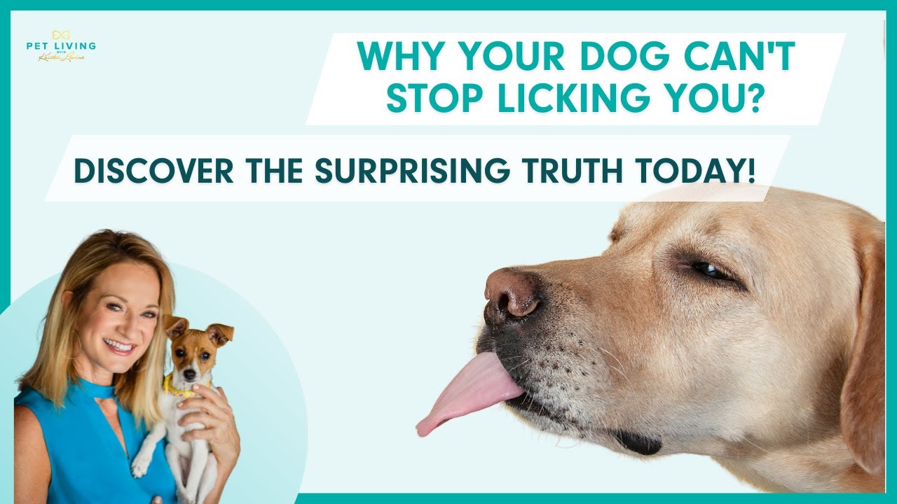 👅 Ever Wonder Why Your Dog Can't Stop Licking You? Discover the Surprising Truth Today!