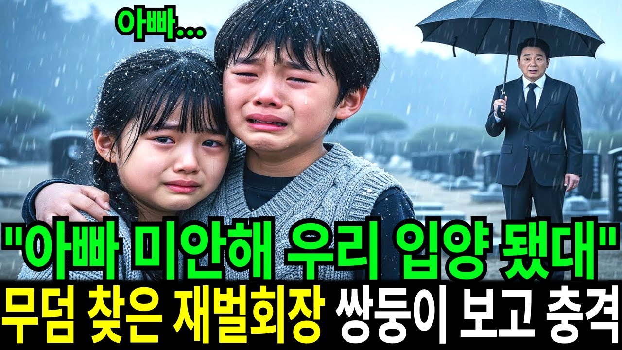 “아빠 미안해 우리 입양 됐대” 아들 무덤 찾은 재벌회장 쌍둥이를 보고 충격 받았습니다.｜시니어 감동 사연｜실화 오디오북｜