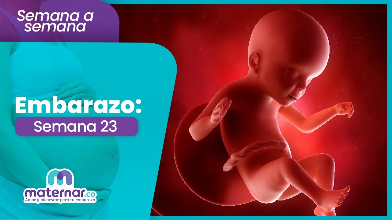 23-я неделя беременности: ваш малыш уже распознаёт звуки! | Maternar.co