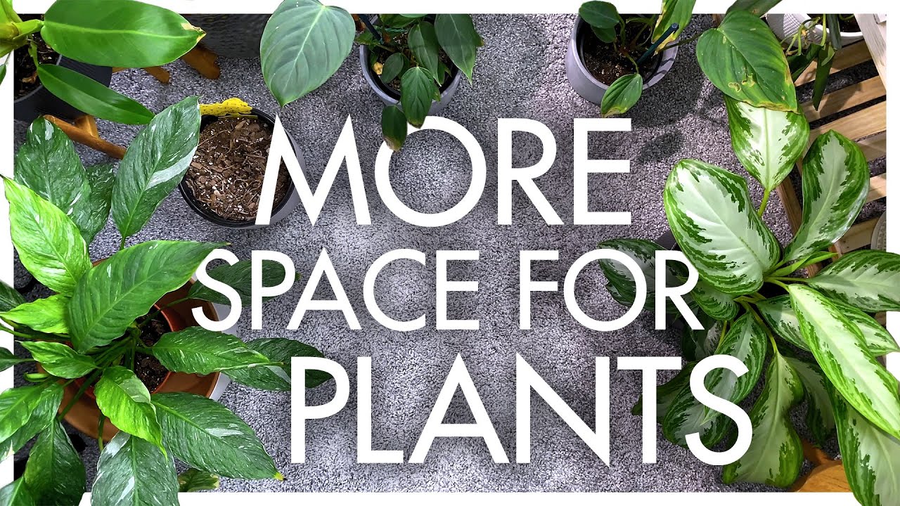 Plant Room Transformation (Floating Shelf Edition)