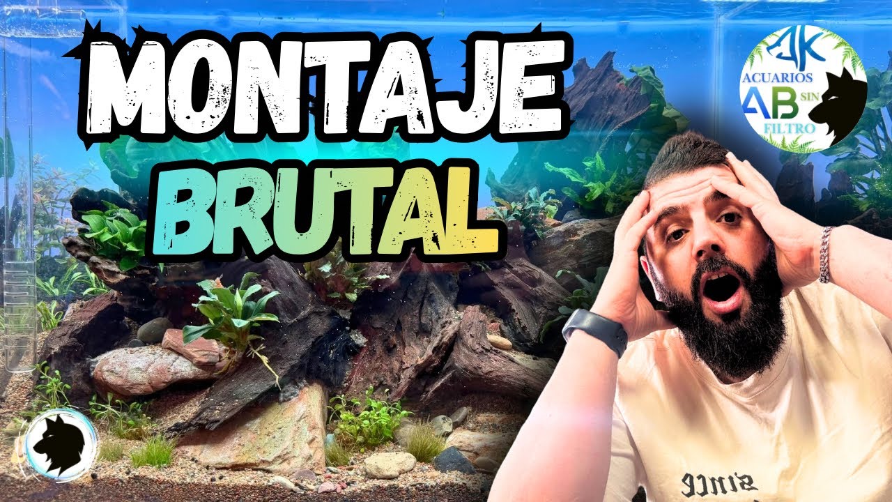 Así nace un Acuario Brutal 💥Hardscape y plantado paso a paso | El Factor Invisible