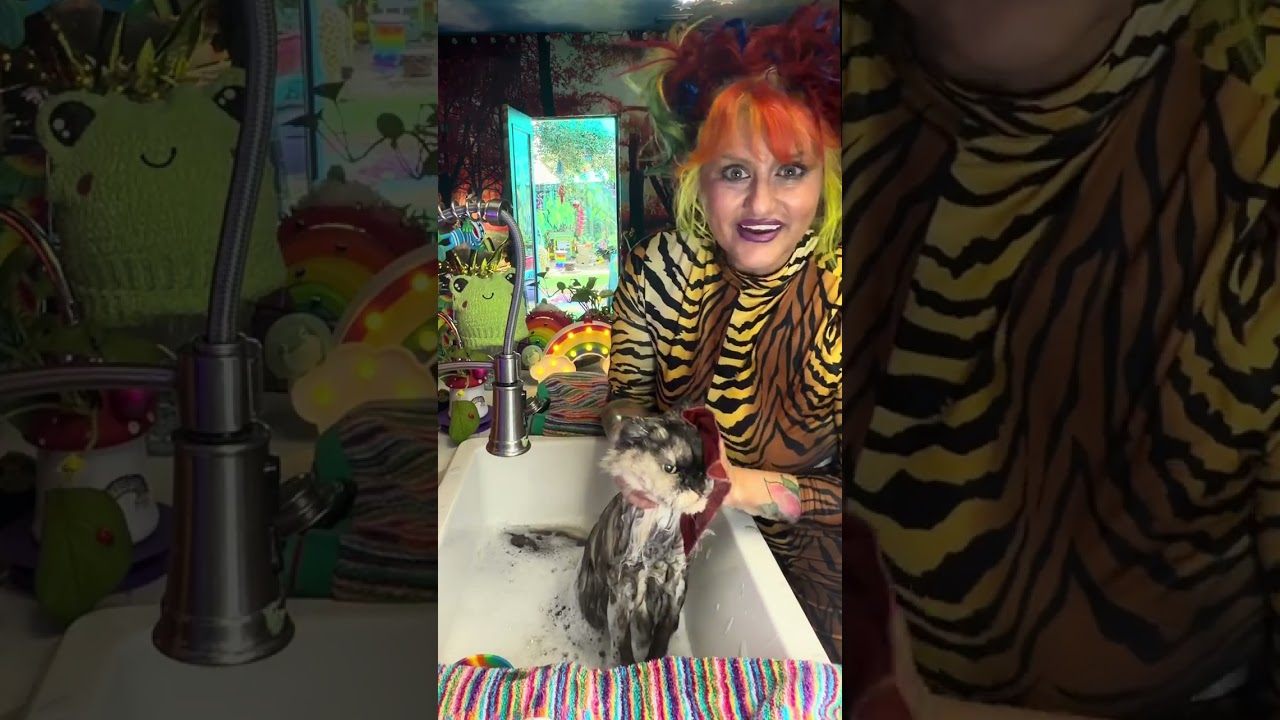 Ceremony Cat Cleanse Year of Horse Energy 