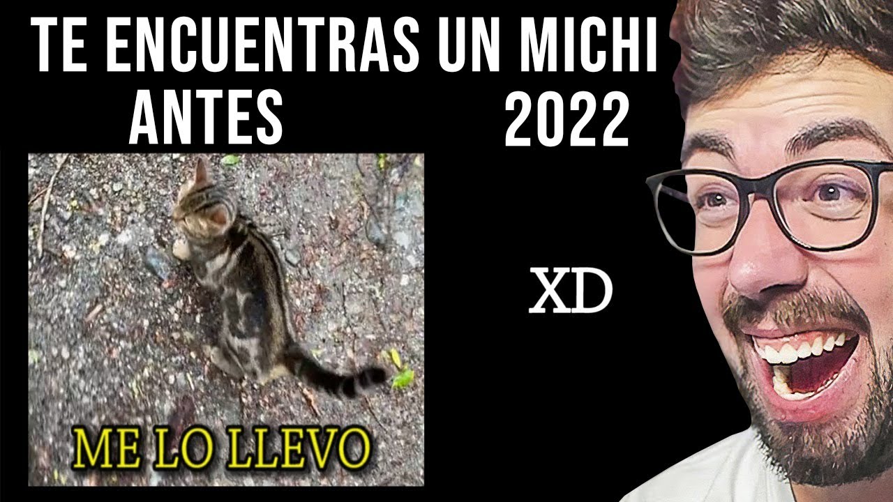 TE ENCUENTRAS UN MICHI 😂 REACCIONANDO A MEMES !