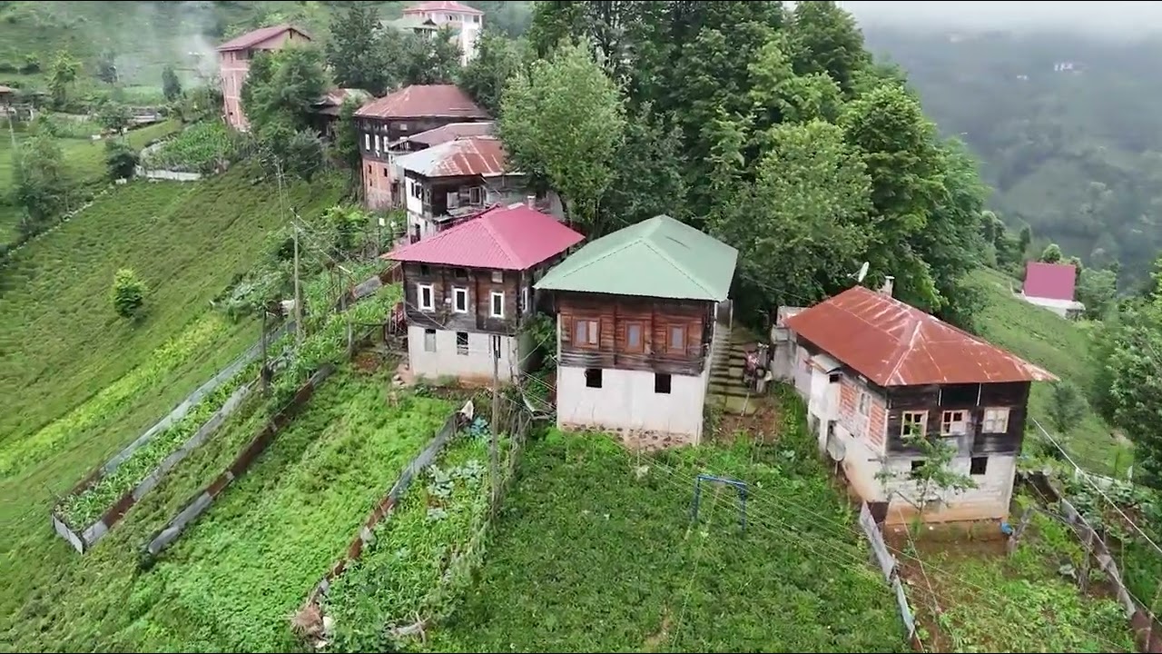 Ardeşen Aşağıdurak köyü #instagram #youtubeshorts #shorts