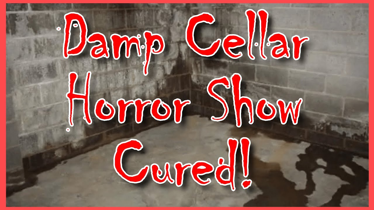 Damp Cellar Horror Show!
