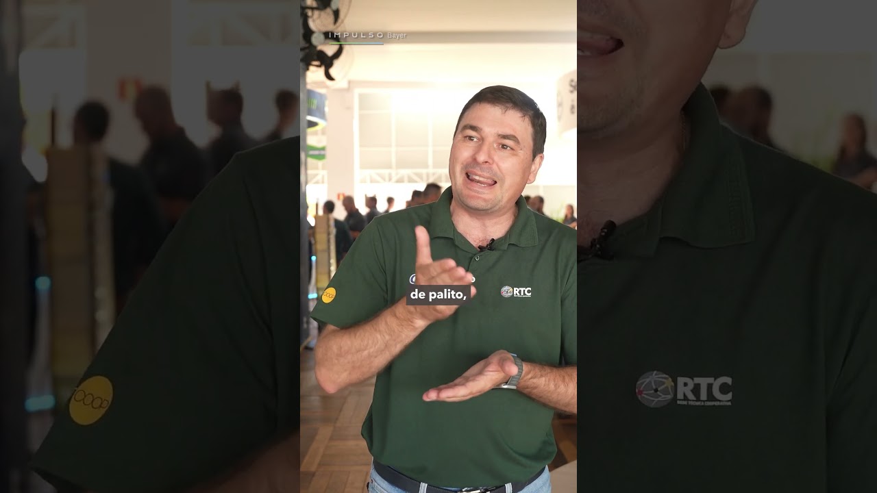 Percevejo barriga-verde | Impulso Minuto