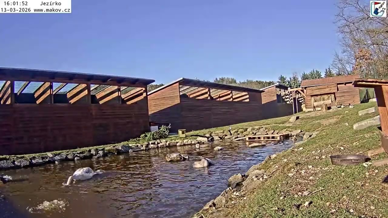 Velká koupačka na jezírku