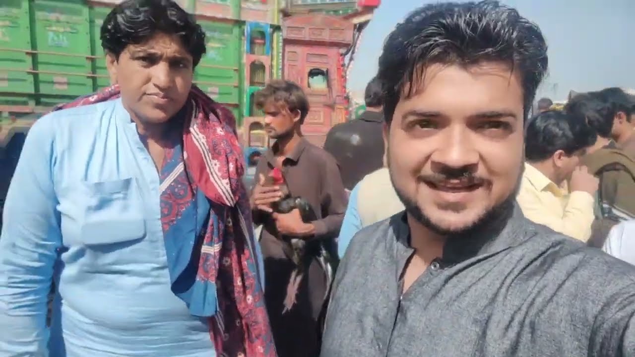 Wan Bhachran Mianwali Aseel Mandi Aseel Market Aseel Mandi Mianwali Aseel Murga Mandi