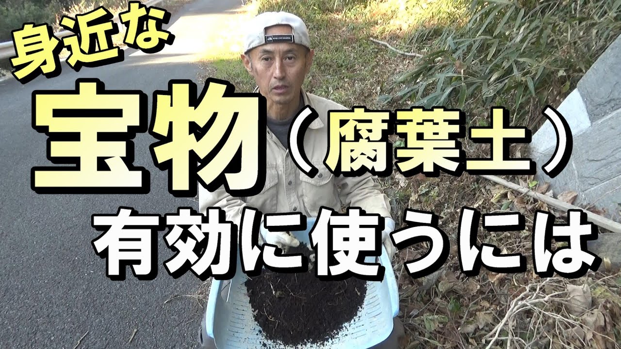 【自然農】身近な「宝物（腐葉土など）」を探して有効に使う！　2022年12月27日【natural farming】