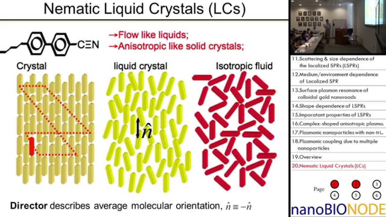 Plasmonic Nanoparticles and Nanostructures (Ivan Smalyukh)
