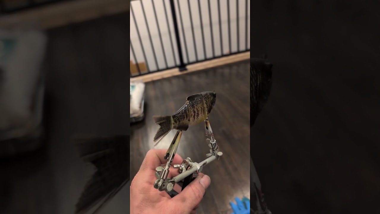 #custompaintedlures #custompaintedcrankbaits #baitF/X #realisticpaint #matchthehatch