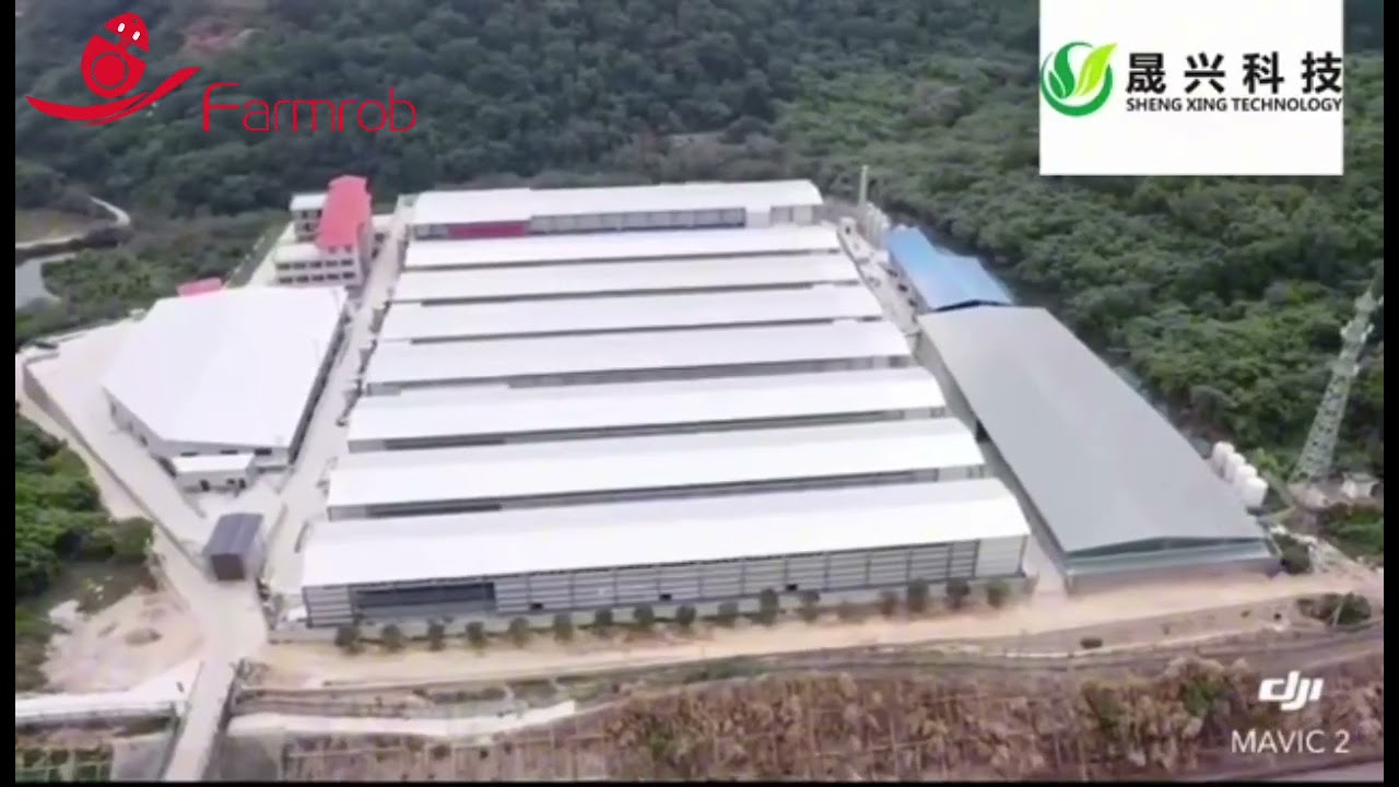 Layer chicken equipment project