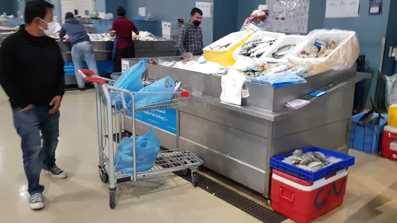 جولة في سوق السمك في قطر ومعرفة الاسعار والانواع🐟🦈🐋🦐🦑#qatar