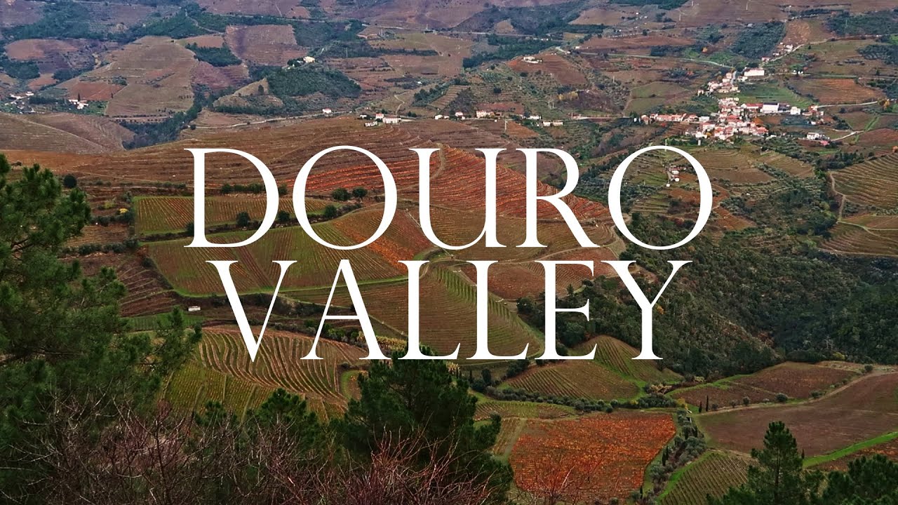 Road Trip Through Douro Valley | Portugal