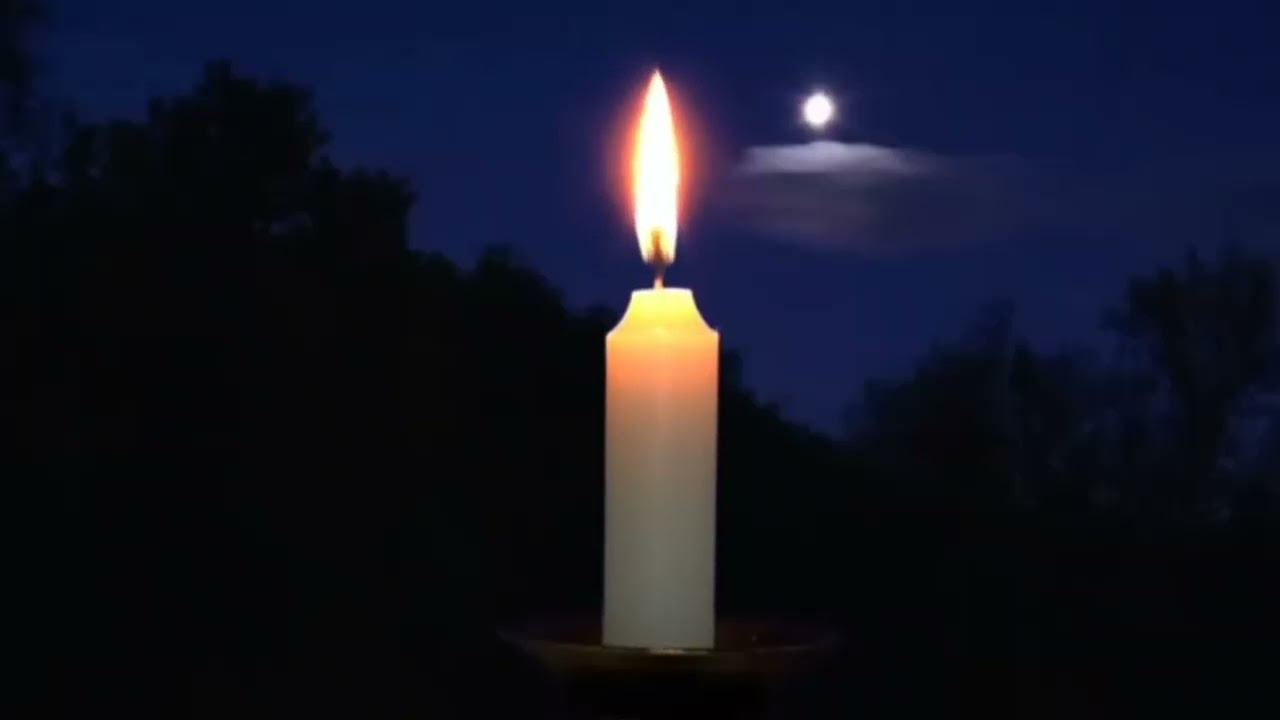 사는게 뭐 별거 있더냐