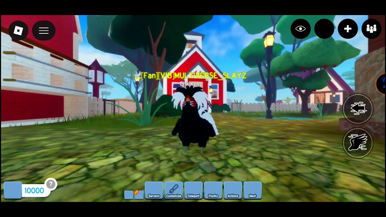 New polish chicken in feather family