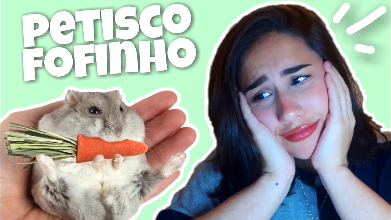 DIY petisco saudável para hamster: CENOURINHA!!!