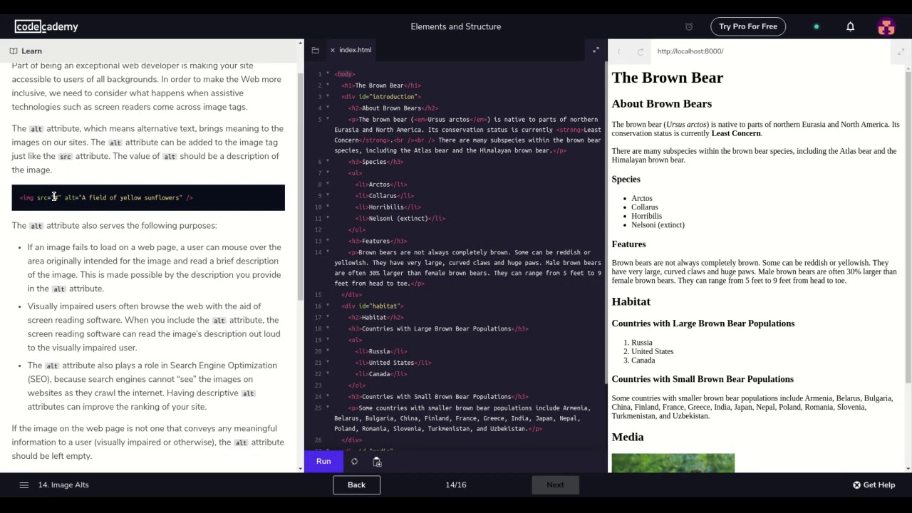 Learn HTML with Codecademy  Introduction to HTML Part 3