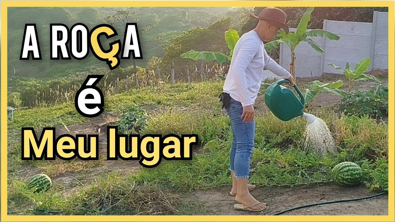 Sozinha no sítio: regando, cobrindo a roça e colhendo o que plantei.