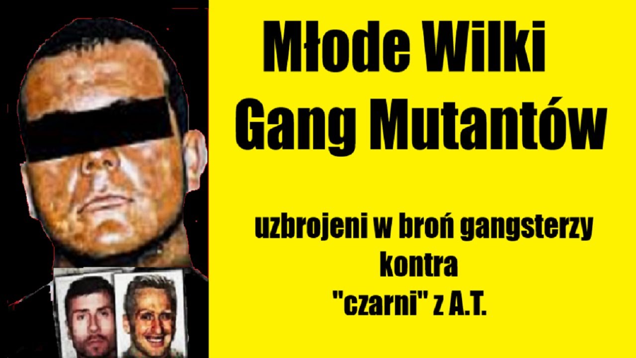 Młode Wilki Gang Mutant&oacute;w - Szuryga, Cieluś, Pikus kontra A.T.