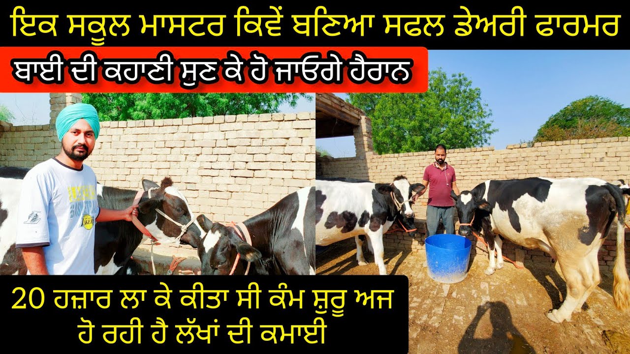 20 ਹਜ਼ਾਰ ਲਾ ਕੇ ਕੀਤਾ ਸੀ ਕੰਮ ਸ਼ੁਰੂ ਅਜ ਹੋ ਰਹਿ ਹੈ ਲੱਖਾਂ ਦੀ ਕਮਾਈ | ਇਕ ਮਾਸਟਰ ਕਿਵੇਂ ਬਣਿਆ ਸਫਲ ਡੇਅਰੀ ਫਾਰਮਰ 🔥🔥